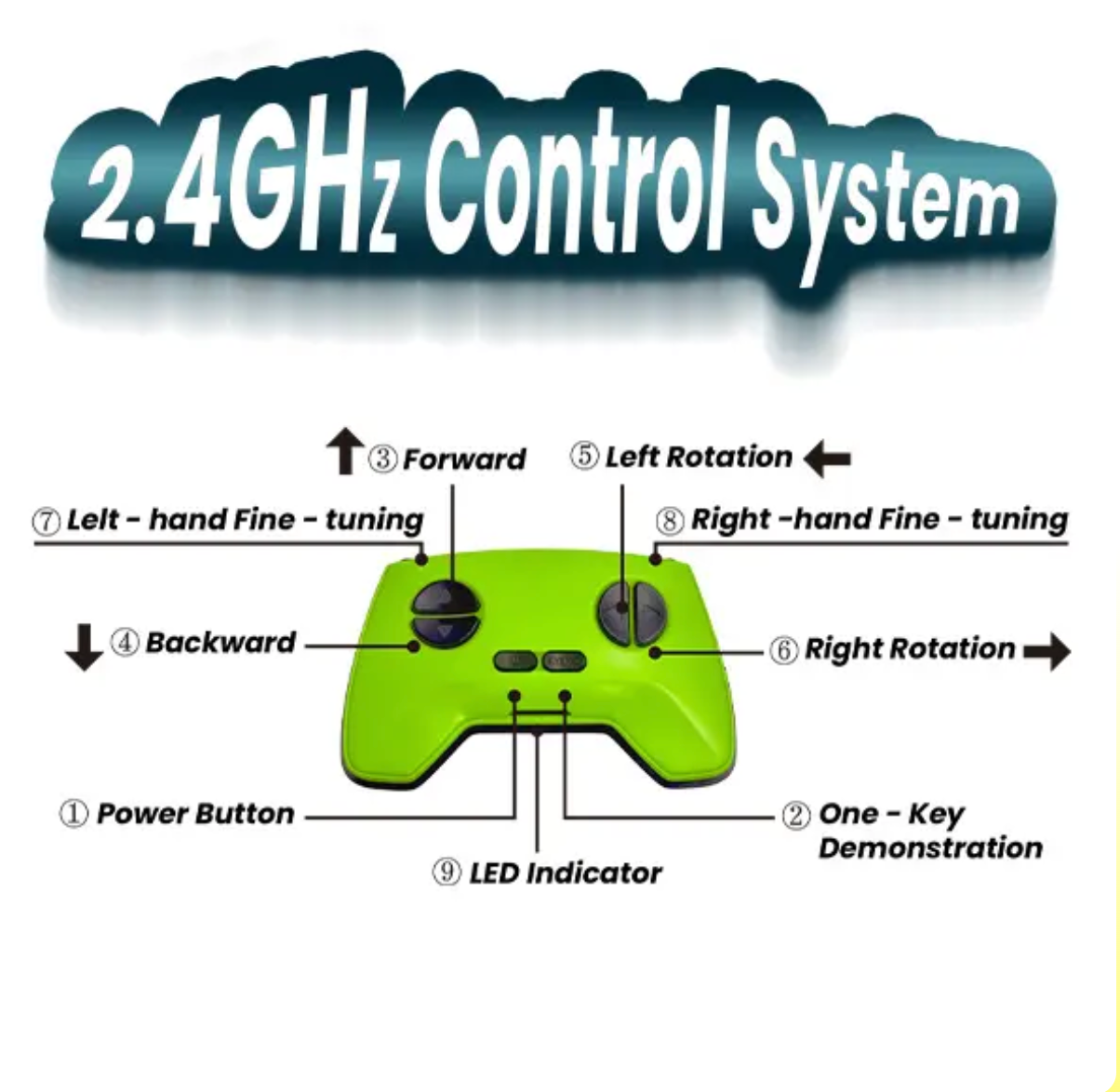 RC Wall-Crawling Lizard Toy – Remote Control Climbing Reptile Car for Kids | ToyZone