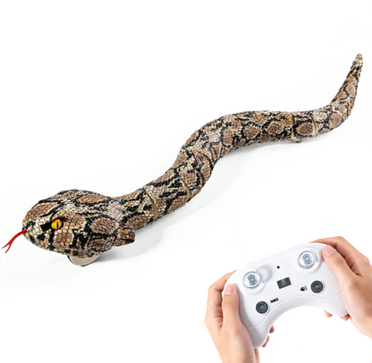 RC Wall-Crawling Lizard Toy – Remote Control Climbing Reptile Car for Kids | ToyZone