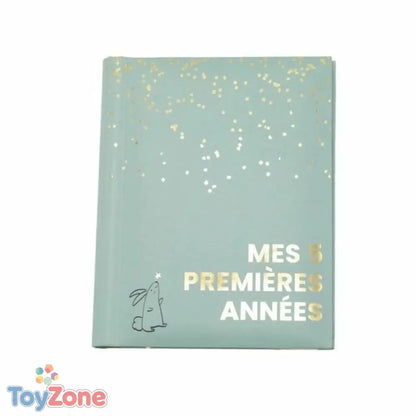 V2H5C21F1377B123A717F5BE8B54982D96CR7254336P1