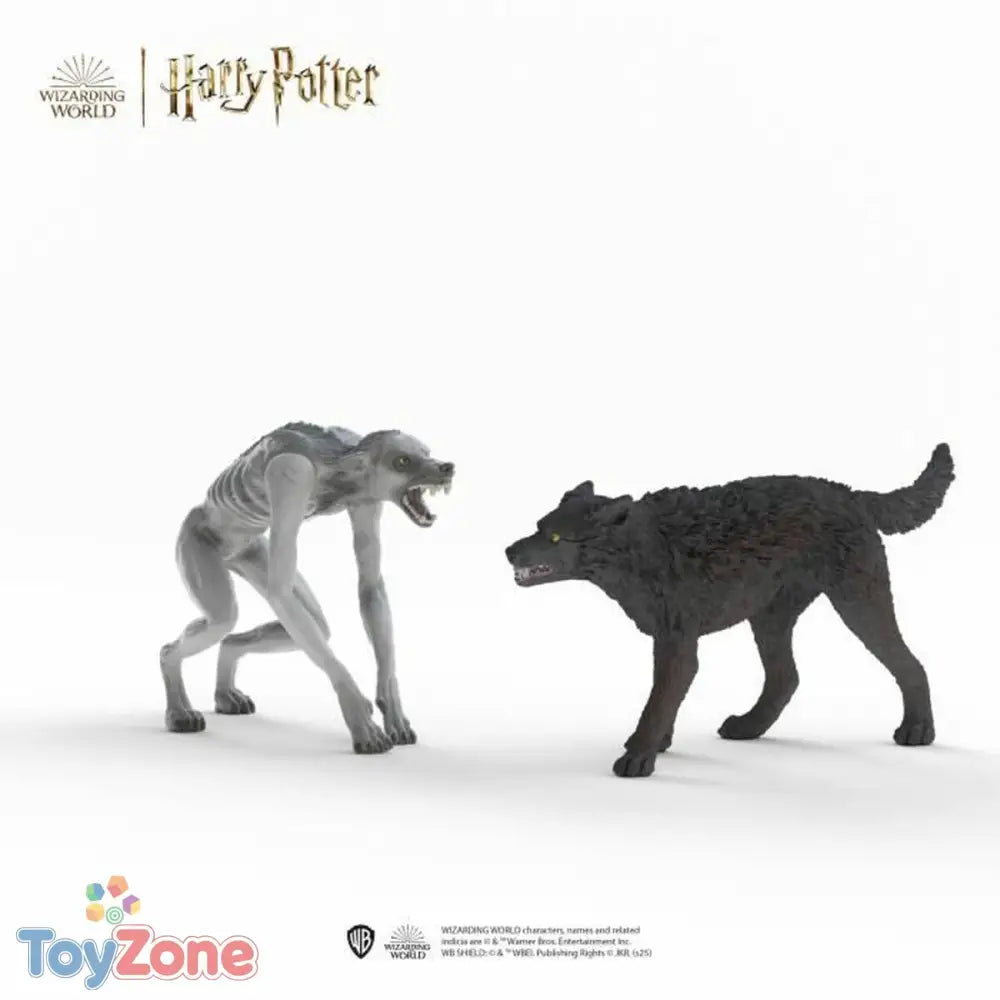 V2HE56F151457ADD8AC257894DCE64C064FR7189217P2