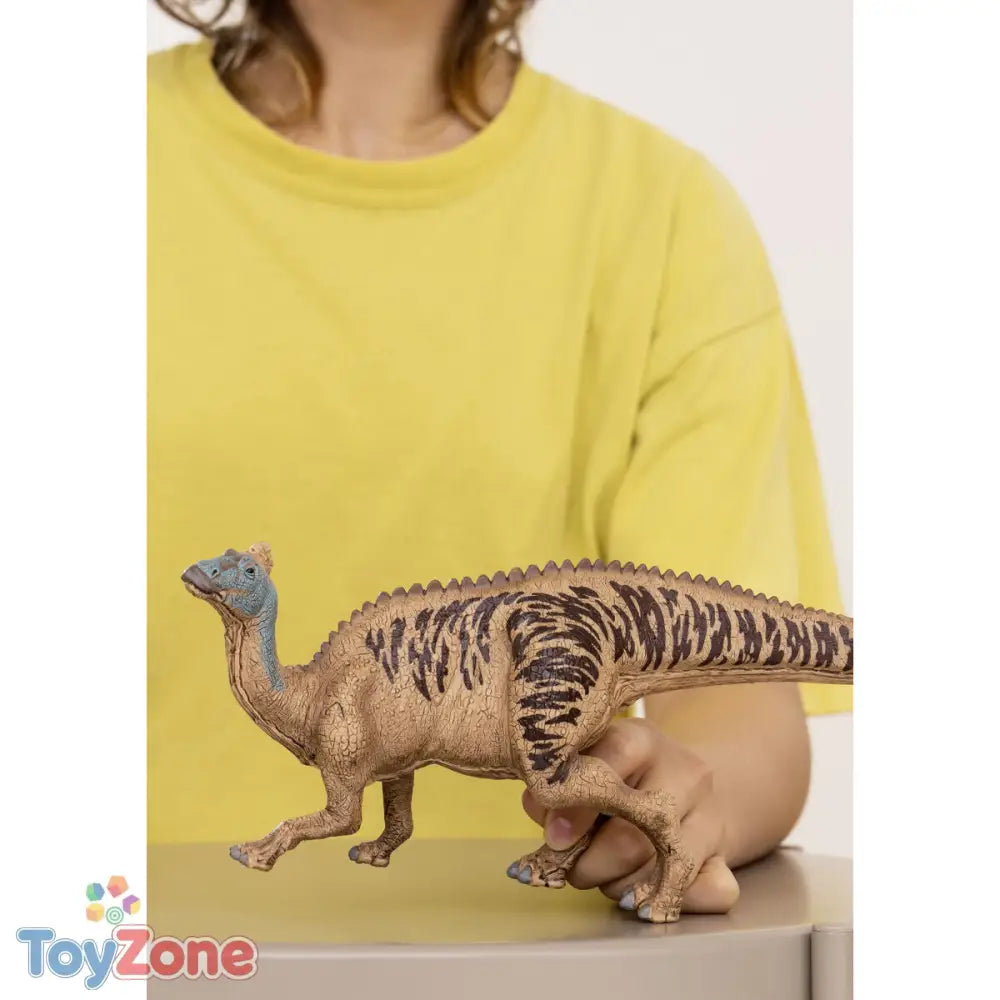 V6H2FF8EE70367A8BC2284F6EEE57F7CD43R4323986P2