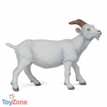 V5H4A812647C5EAA59E37F62DFBFF366481R5344894P1