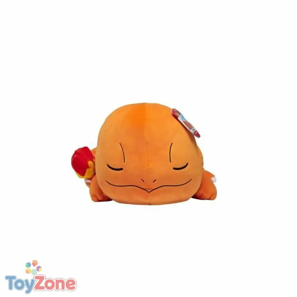 V4H04484133E506F68545A94DE08CAE3750R5450962P4