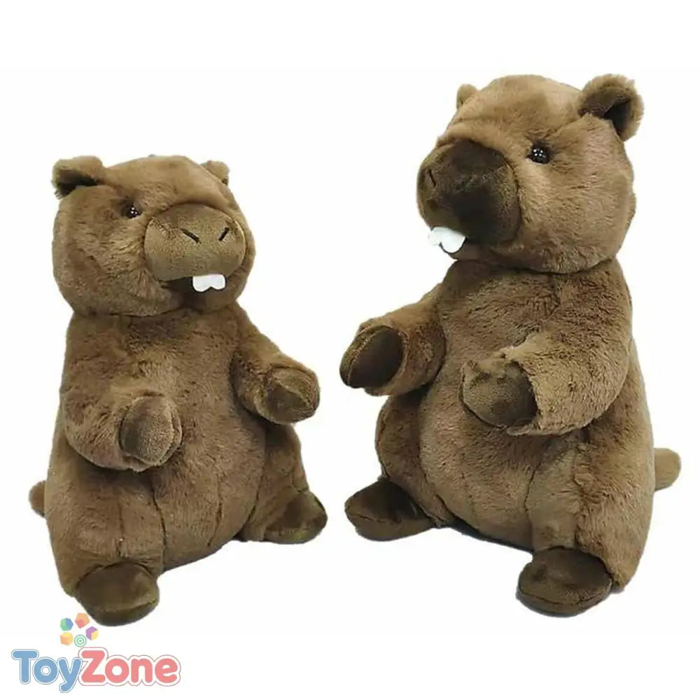 V7H6EE5A5198A6C5AB5BAA976FD9221C485R5692037P1