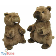 V7H6EE5A5198A6C5AB5BAA976FD9221C485R5692037P1