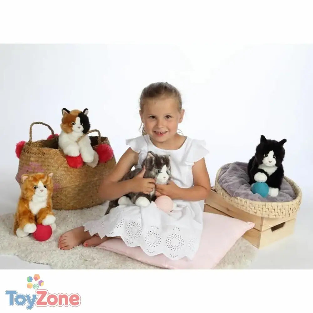 V7H142CF8D4E75B57D0927B7FE6906BDA6BR6663369P5