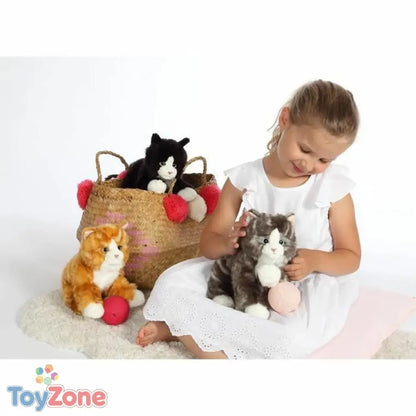 V6H430BE3185622E5FA4D0B770D21396A56R6823297P3