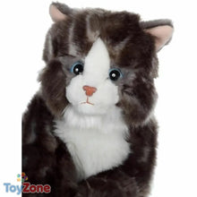 V6H2EE114DDF8980986A468C7C0958299B1R6823294P2