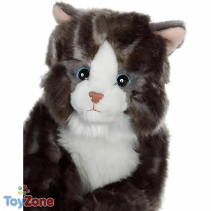 V6H2EE114DDF8980986A468C7C0958299B1R6823294P2