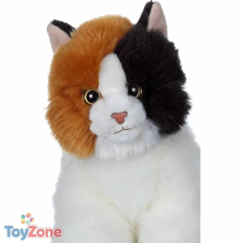 V6H66EFD20769ED69EF22874952B5784936R3216625P2