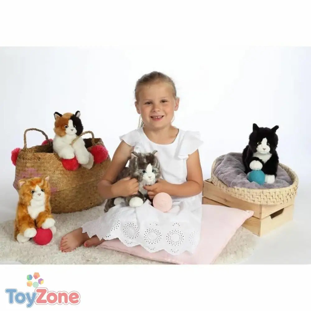 V6H2607BEDA672C8E5B93267F6BC177DFC5R3216630P5