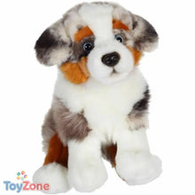 V6H311DC9EB31BFFA37E21E50EC7EDD7C28R3216760P1