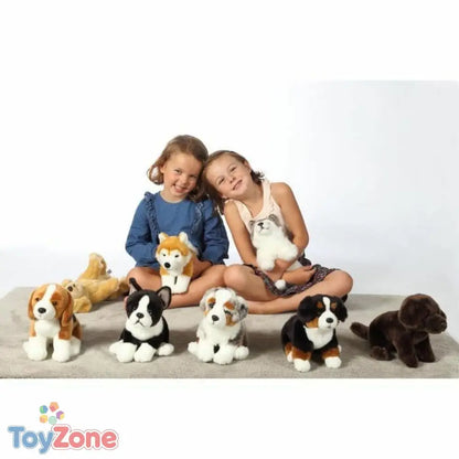 V6H22E8225A0128AA77040C7188D6E764DAR3216765P4