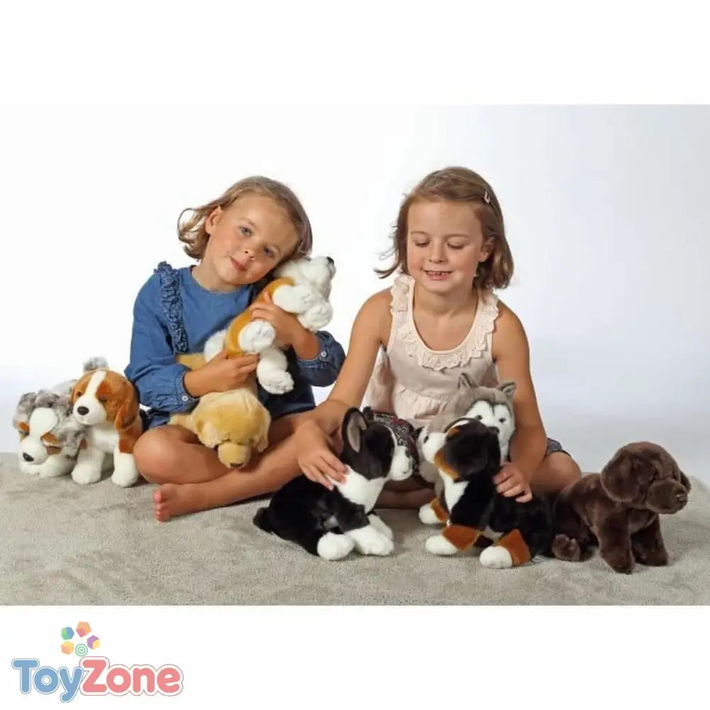 V6HC2B264F3CF82D7EF2FB64E4C468B938DR3216763P3