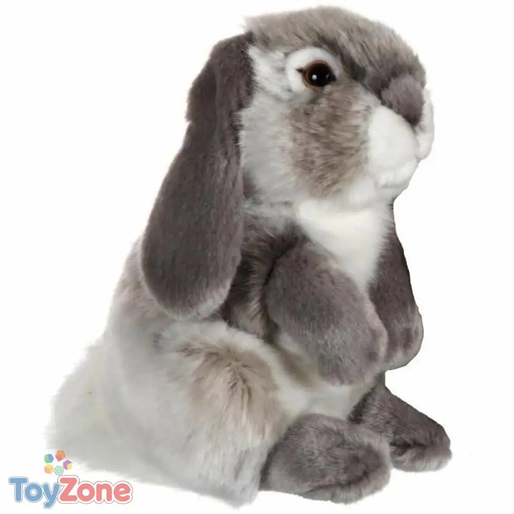 V6H85CAADB425356F689A2A3EDFE1F35127R3217007P1