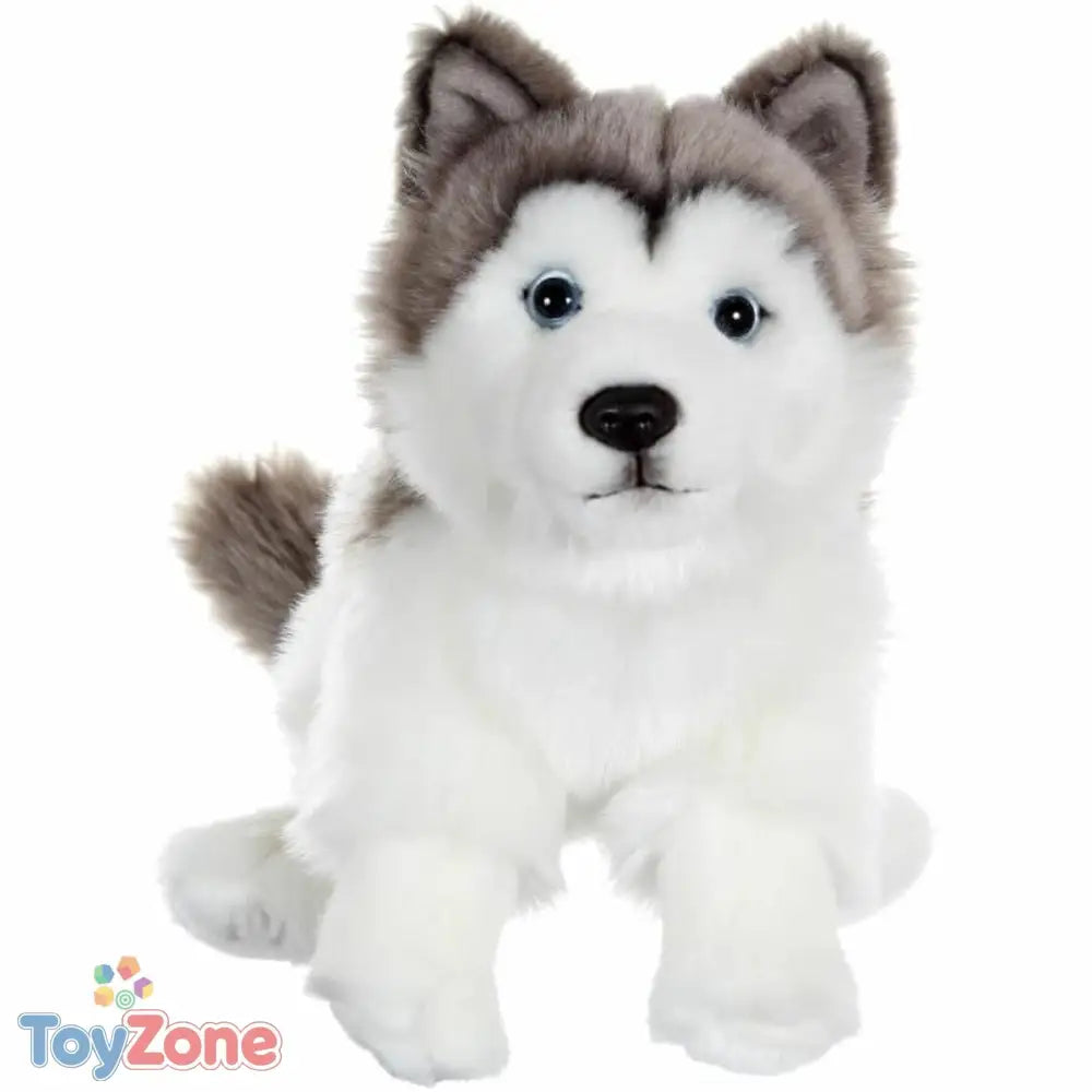 V4H4692A4D3E9A9E231782DA99CCAC0A4BDR4816994P1