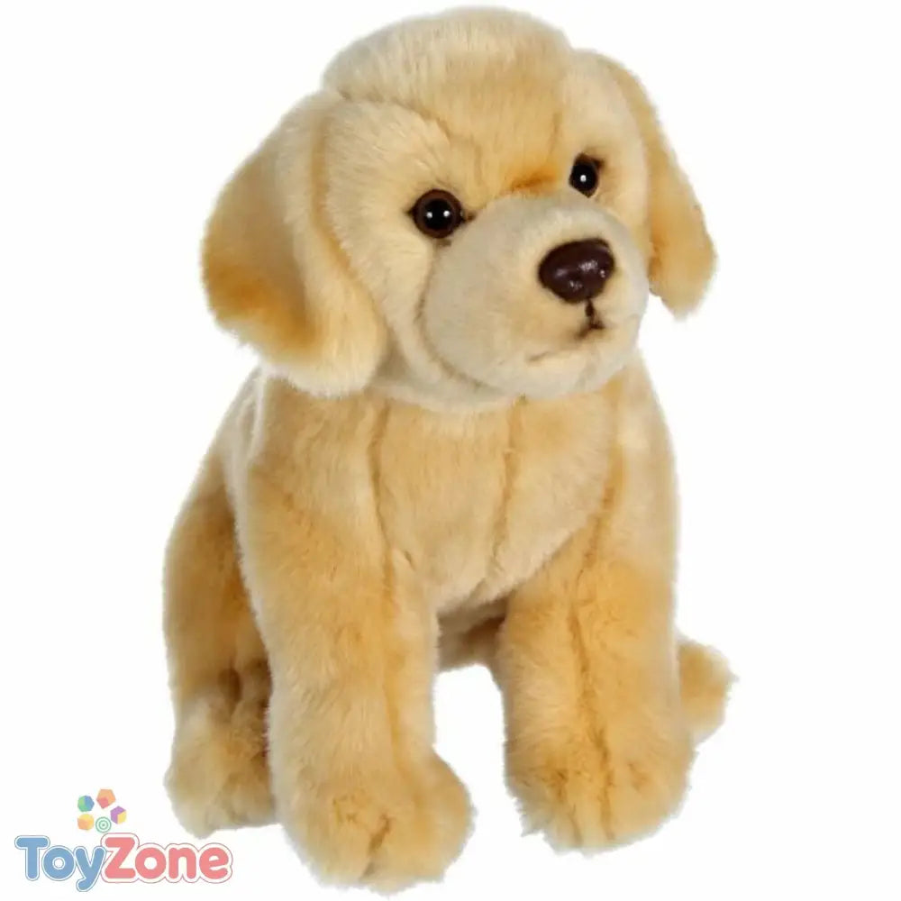 V4HB779566CB9564266173B009596414965R4816659P1