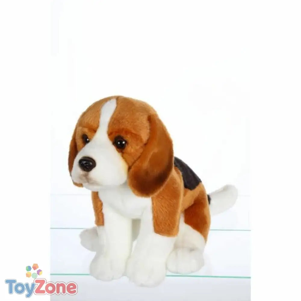 V4H56A611BB22117772B14B63574FAB77E0R4868425P1