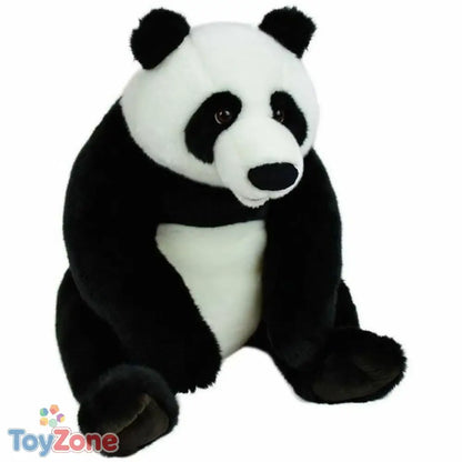 V8HB8CD3AAA957DE554D45B60BF02BE3C40R4991356P2