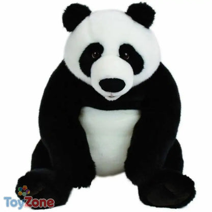 V8H54EF3C074BC663C4E4CB692D5033A2E8R4991353P1