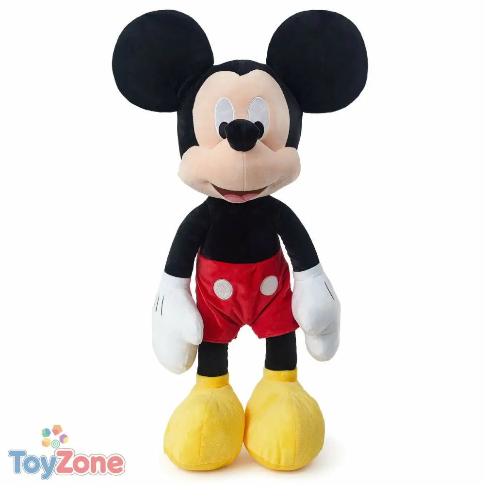 V5H7BC529935E78011DEEC1AD3379A51F31R6779241P1