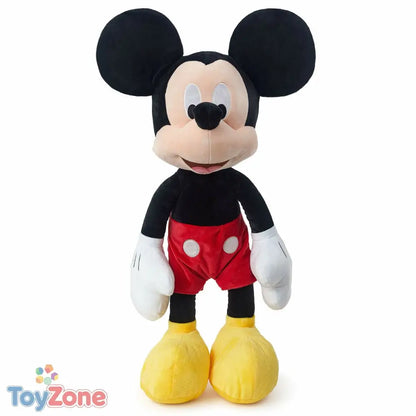 V5H7BC529935E78011DEEC1AD3379A51F31R6779241P1