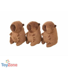 V4HCF29B308C388A7E5068CA380CC6CB6E6R6688051P1