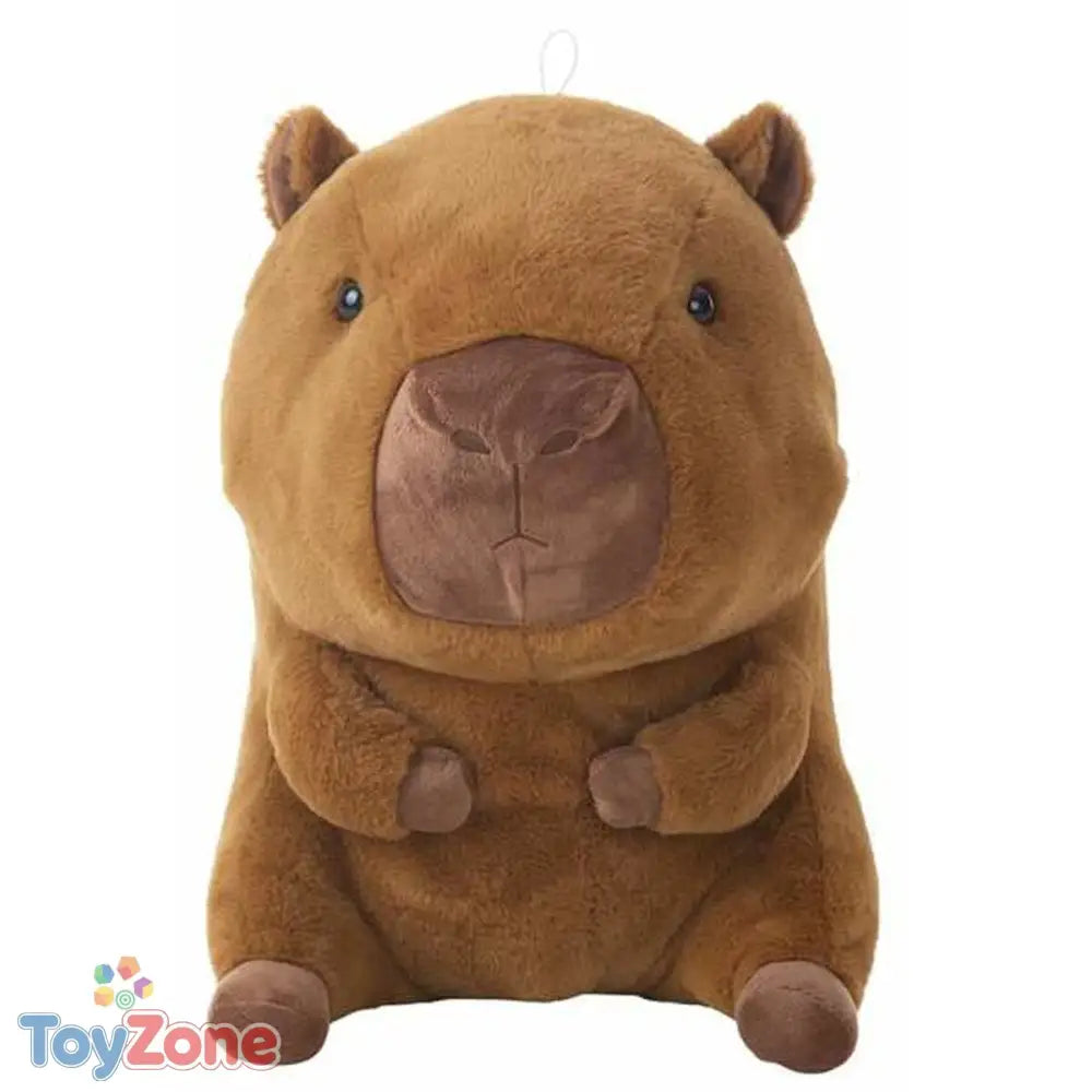 V3H37BA6C406A96218C32A916144BB0A416R6713523P2