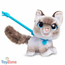 V6H3137722DB8B7A32790FDCEDD9862229DR7387543P2