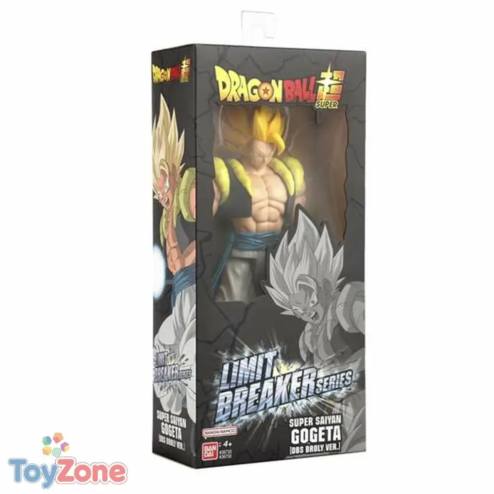 V2HC38818331569A42F948D79370696B589R7419165P5