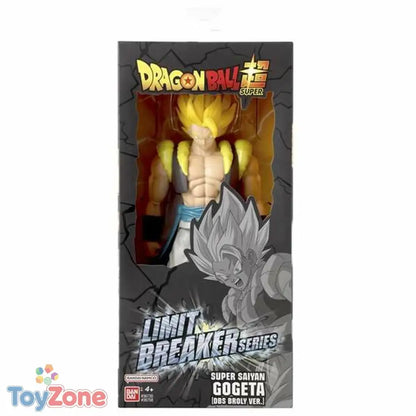 V2H5A9F5A026CCC761AAE196B8730D7E8CCR7419169P6