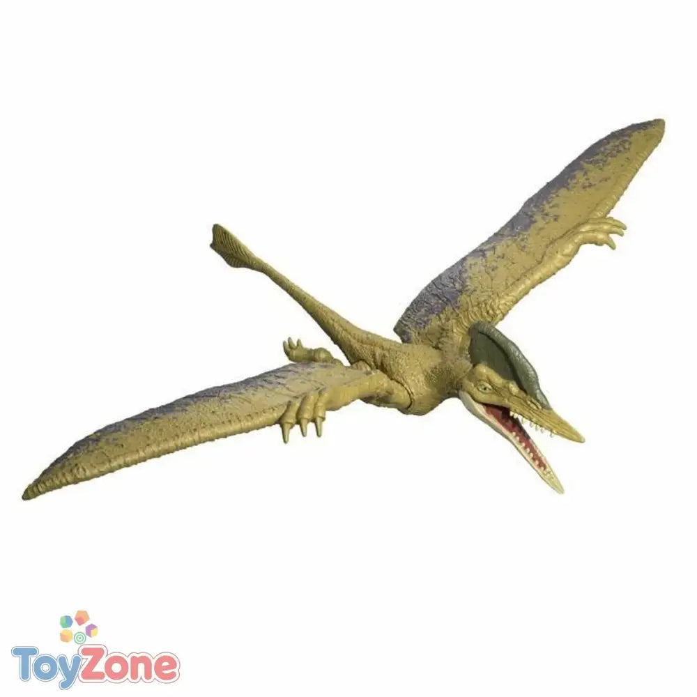 V3H2F7969C7CCD48E0048DCBC8918F65F3AR6642914P4