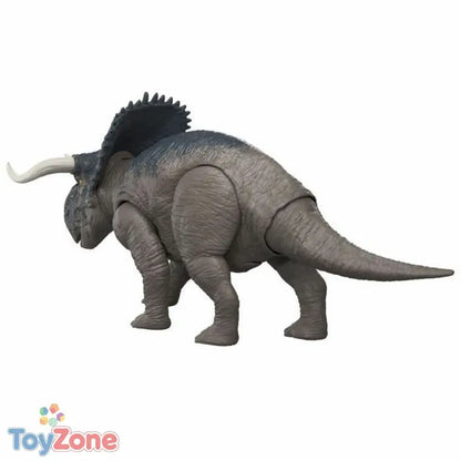 V3H1BD2DBC6157F7CB8A53BF3FA7A6833FFR5801445P4