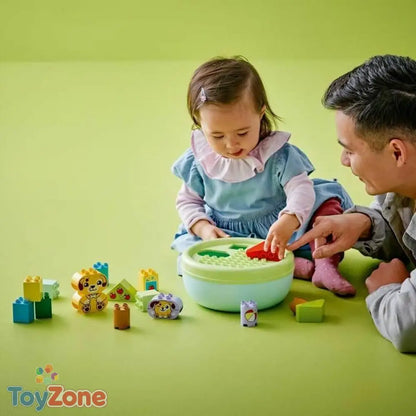 V3HC039241C6A504ED13225DB5025FB8B09R5811324P5