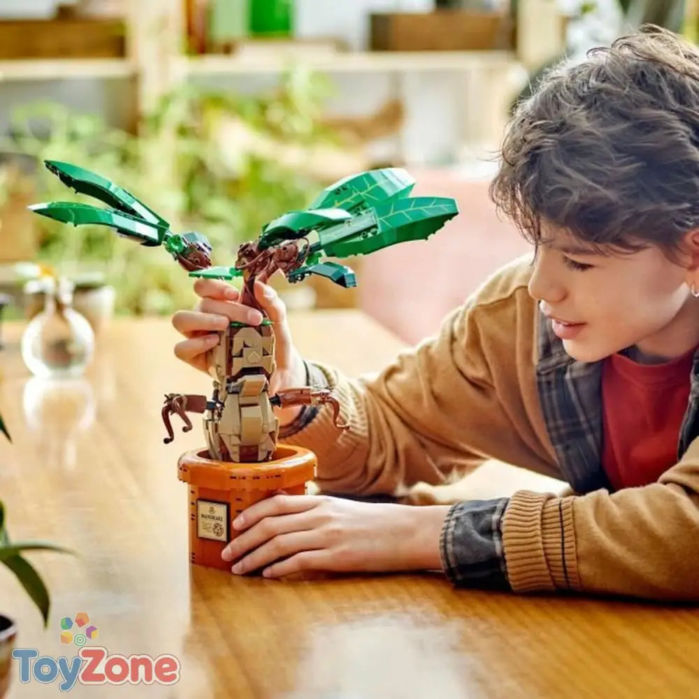 V4HED8309BFF9B0C07AF21AAFB858DEC1D5R7059047P5