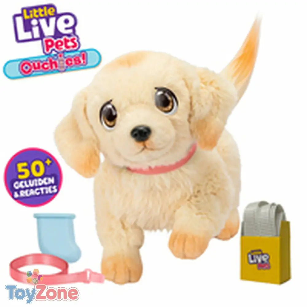 V3H1A2961DBFF6DBC5EF6648BD844F5B19ER6272637P7