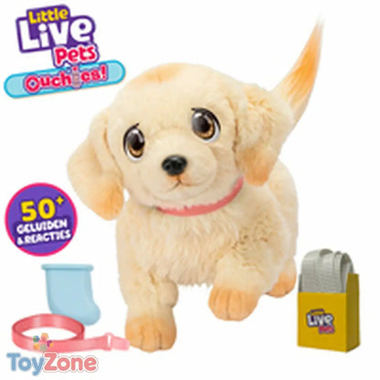 V3H1A2961DBFF6DBC5EF6648BD844F5B19ER6272637P7