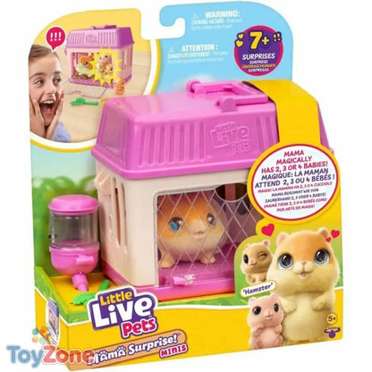 V6HD88A323B249F62C78E7ECAC14095FBB2R6573126P1