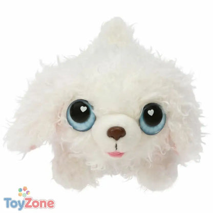 V7HCCC1C1B02B9233B837C6F9FD0666591FR6572838P2