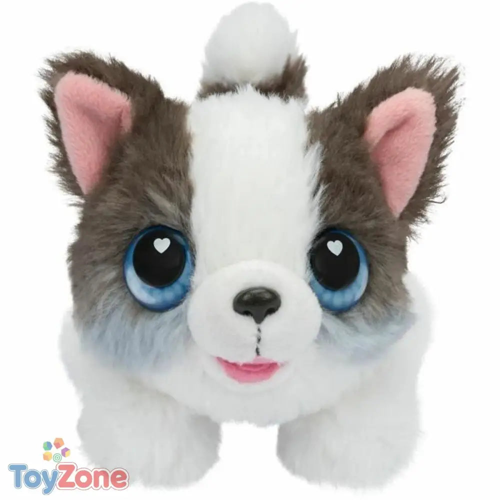 V7HD62E6DBD4CD0129025EC133BBEDCA0A1R6572845P6