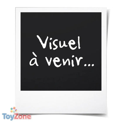 V4HAE33A336885555D214D9C2A13274B530R4587793P6