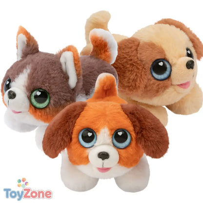 V5HC19D188300800E72E7A4120ABF3CCA46R6573071P9