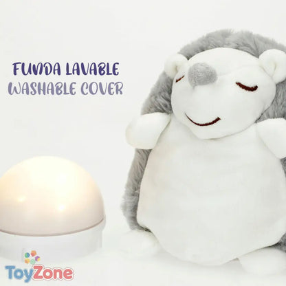 V3HE4E52BCAF464E56F747B99D09B119A71R5672727P9