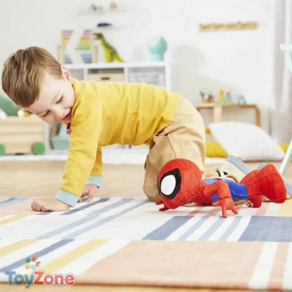 V4H5D29081B0FBCA79A9DC92282481FFC6AR5455036P5