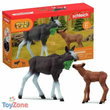 V4HBDFFCBCCBAC872E01B2700F122D254F3R5454902P1