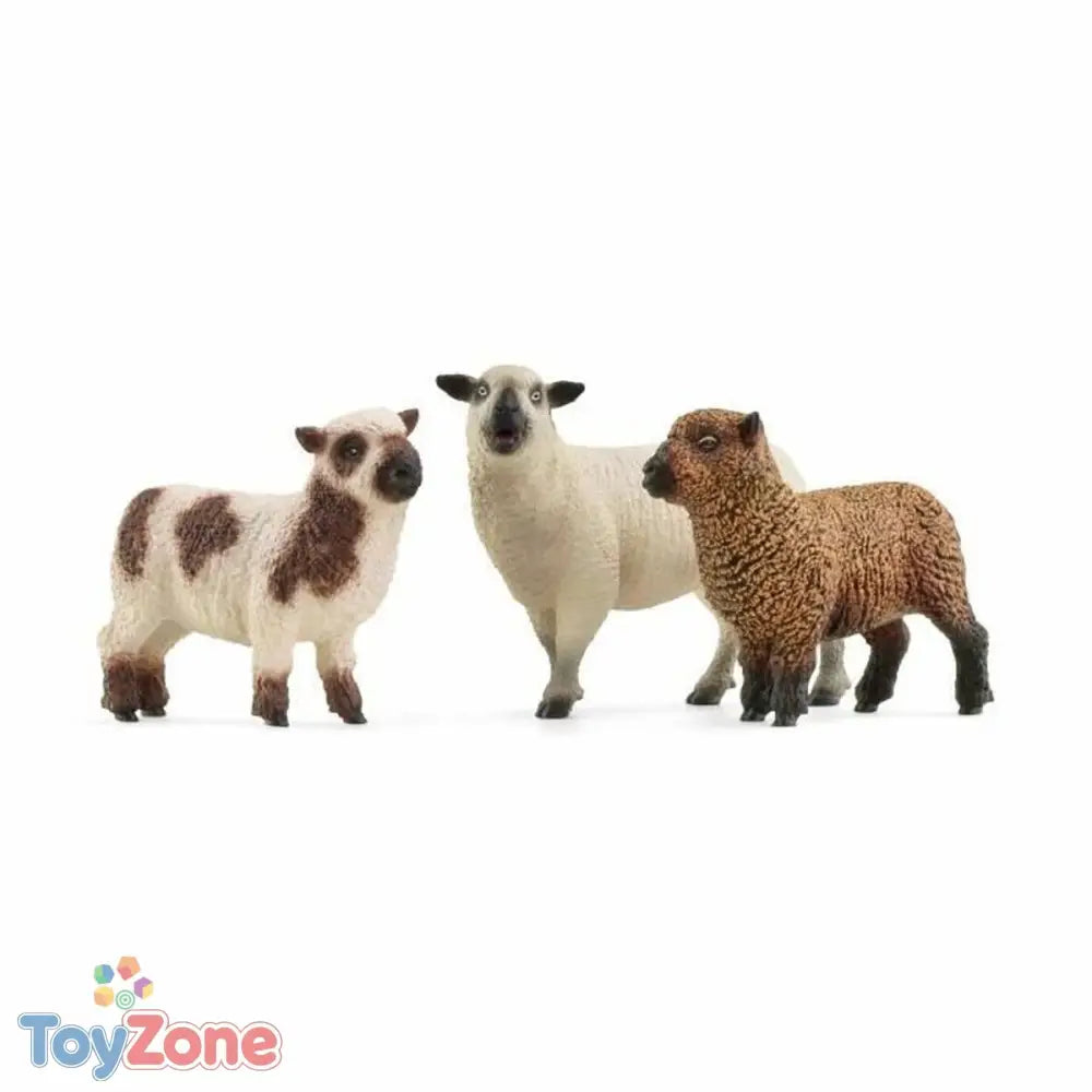 V5H04ABD0AB92BCD0217330CEE714C1EA28R4185386P2