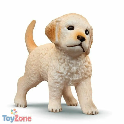 V7HD1CC6F87DC0093531CCEAD262AD61D4BR6397111P6