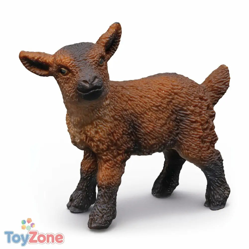 V2H4A4A98FC9E1B0FA4E23213D4B5566603R7252382P7