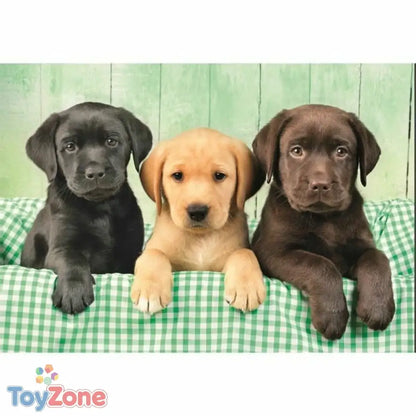 V3H002ACDD417047E14F93A513682505D1AR5803747P2