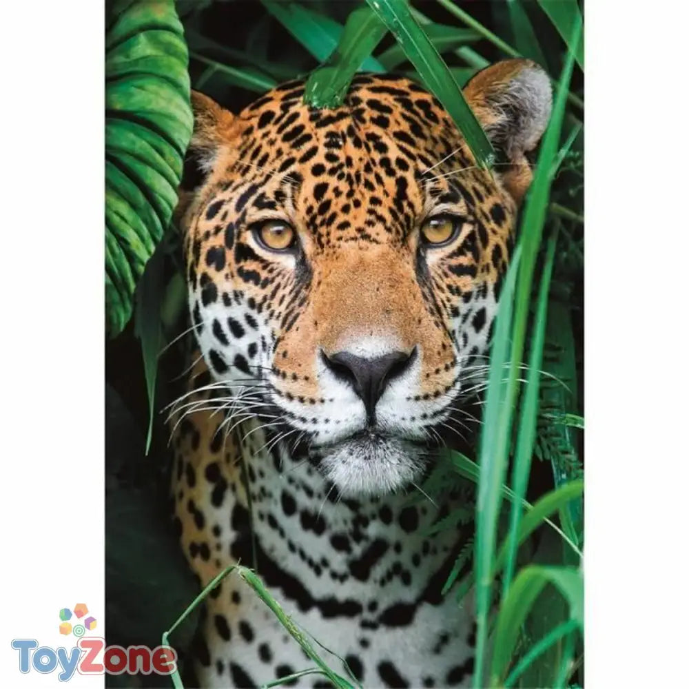 V3H764AAB5566D7F7A75EDCEFC67A0E8B2ER5803432P2